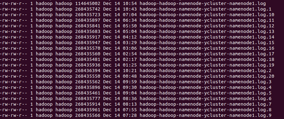 NameNode Log