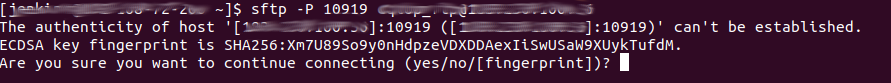 Are you sure you want to continue connecting
